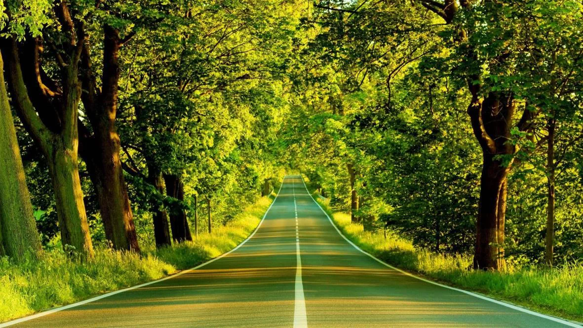 Nível de consciência verde – A Estrada à Nossa Frente